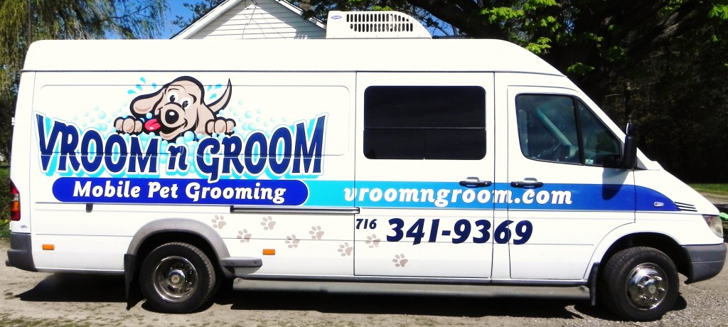 mobile dog grooming van